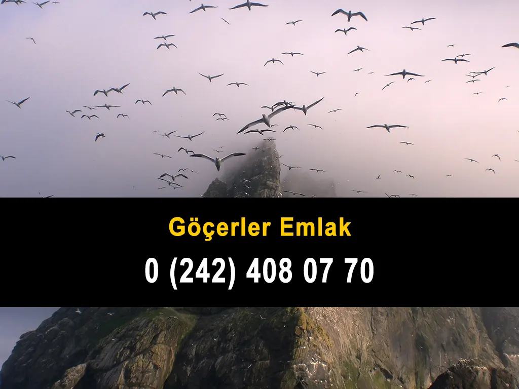 Göçerler Emlak